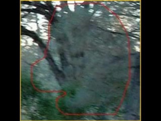 photos of ufos, ghosts, ghosts, demons, etc.