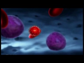 hiv replication (medical 3d animation; russian dub)