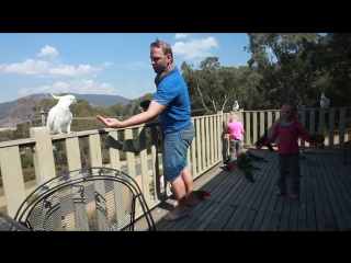 a typical morning in australia